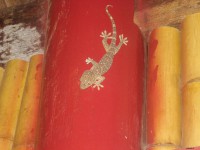 /album/biologia-/toquie-1-jpg/